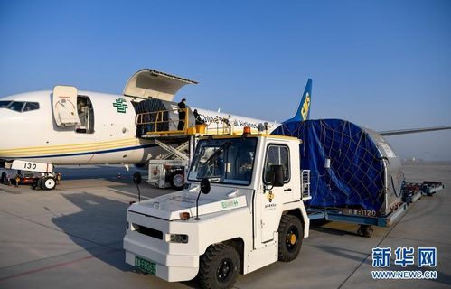 郵航首開 銀川 南京 特色農(nóng)產(chǎn)品貨運(yùn)航線