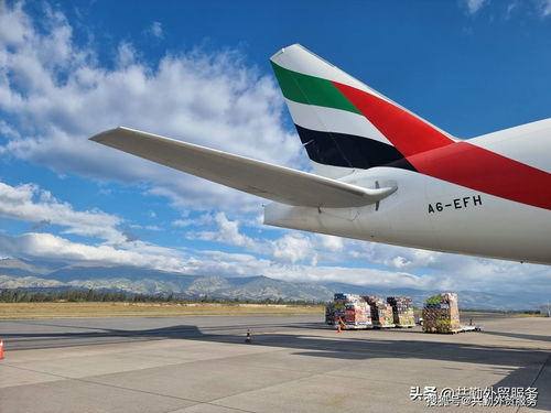 阿聯(lián)酋航空貨運公司Emirates SkyCargo 情人節(jié)禮物貨運高峰揭秘
